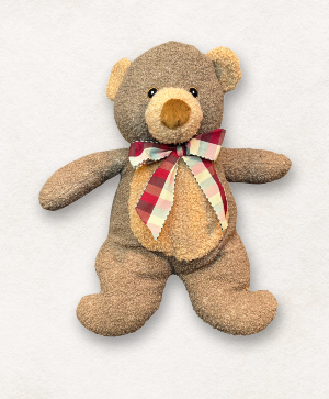 Soft Silky Cuddle Bear 