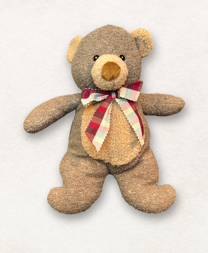 Soft Silky Cuddle Bear 