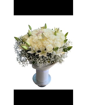 SOFY ROSES  DOZENAS DE ROSAS