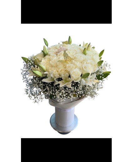 SOFY ROSES DOZENAS DE ROSAS
