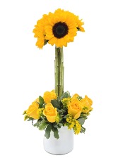 Sol de Primavera Everyday Occasion Arrangement