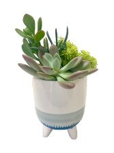 *SOLD OUT* SUCCULENT GARDEN 