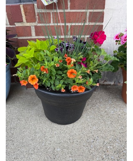 Solid band patio pot