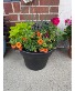 Solid band patio pot 