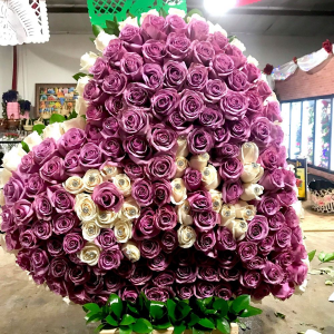 solid heart 10 dz roses 