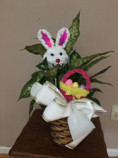 some Bunny loves you 6in green plant with easter trimm