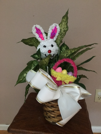SOME BUNNY LOVES YOU 6in green plant with easter trim