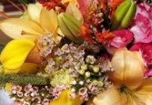 Algo único y memorable! diseños personalizados por maestros floristas Nuestra familia ha estado creando y entregando momentos memorables desde 1935.