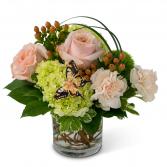 Song of Gratitude Arrangement