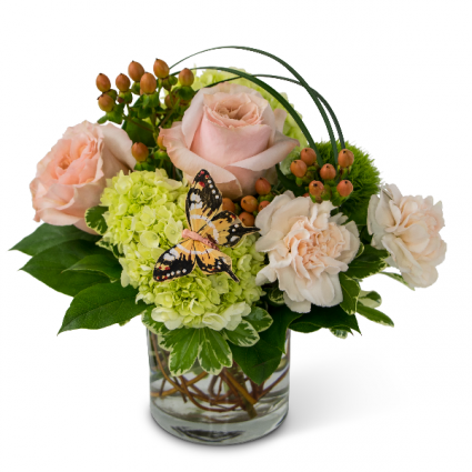 Song of Gratitude Arrangement
