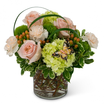 Song of Gratitude Arrangement