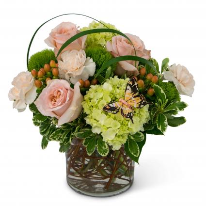 Song of Gratitude Arrangement