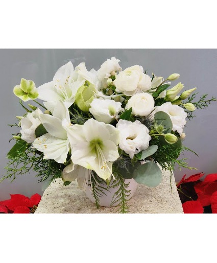 Sophisticated Amaryllis Cut flowers