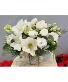 Sophisticated Amaryllis Cut flowers