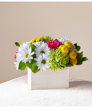 Sorbet Bouquet 