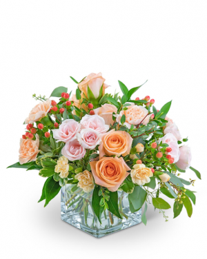 Sorbet Sparkle Flower Arrangement in Nevada, IA | Flower Bed Sorbet Sparkle Flower Arrangement in Nevada, IA | Flower Bed