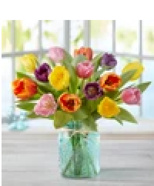 Sounthern Style Tulips All Around Arrangement