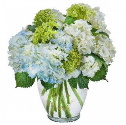 Southern Hospitality Arrangement