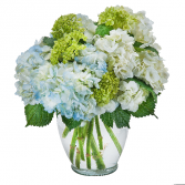 Southern Hospitality Arrangement in Barre, Vermont | Forget Me Not Flowers and Gifts LLC
