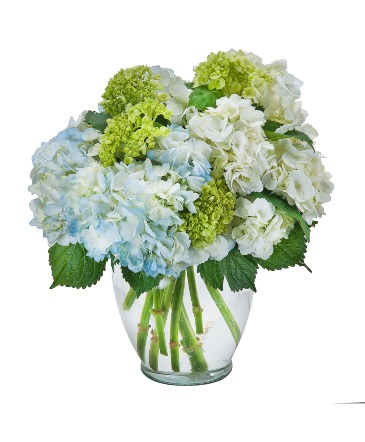 Southern Hospitality Arrangement in Santa Clarita, CA | Rainbow Garden, Gifts & Flower Delivery Southern Hospitality Arrangement in Santa Clarita, CA | Rainbow Garden, Gifts & Flower Delivery