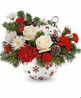 Sparkling snow  mesa  apache junction  gold canyon 