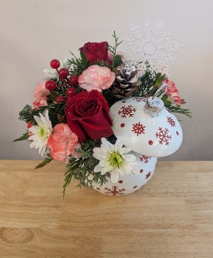 Sparkling snow  mesa  apache junction  gold canyon 