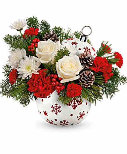 Sparkling snow  mesa  apache junction  gold canyon 