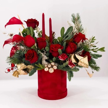 Sparkling Stella VIOR Signature  in Vacaville, CA | Vior Floral Art