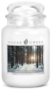 Sparkling Woods Large Jar Candle candle