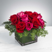 SPARKS FLY Roses in square vase