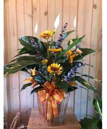Spathiphyllum with fall decoration Plant in Kensington, CT | BRIERLEY-JOHNSON THE FLORIST