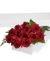 SPECIAL Classic Doz Red Roses  SPECIAL 