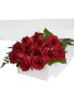 SPECIAL Classic Doz Red Roses  SPECIAL 