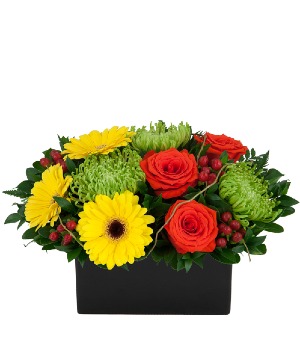 Special Day Arrangement