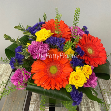 Special Delight  in Etobicoke, ON | THE POTTY PLANTER FLORIST