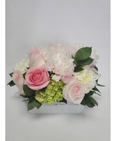 Special Edition Sweet Charm with Peony 