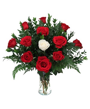 Special Love Dozen Long Stemmed Red Roses