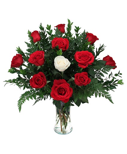 Special Love Dozen Long Stemmed Red Roses