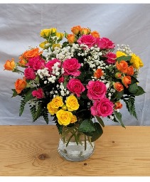 SPECIAL Miniature Roses SPECIAL!!!!