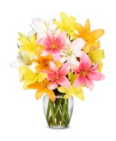 **SPECIAL**  MIX AND MATCH LILIES 