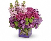 SO SPECIAL