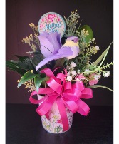 Special Mom 