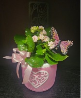 Special Mom Blooming