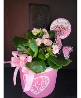 Special Mom Blooming