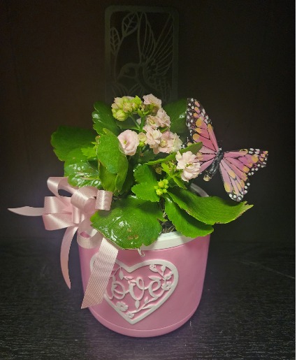 Special Mom Blooming
