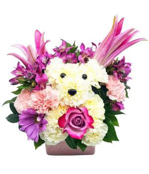 Special Pooch  Puppy flower arrangement 