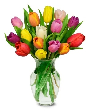 *SPECIAL* Tulips in a Vase  