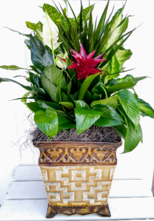 Specialty Mixed Planter in Tin