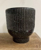 Speckled Wonder planter