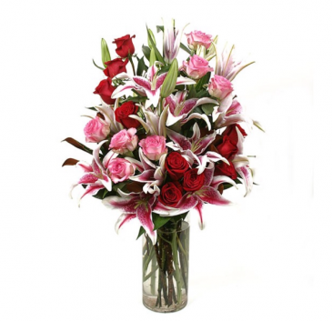 Spectacular Gift Just Because